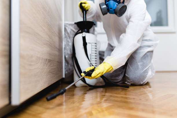 Best Commercial Pest Control Services  in Mount Airy, NC