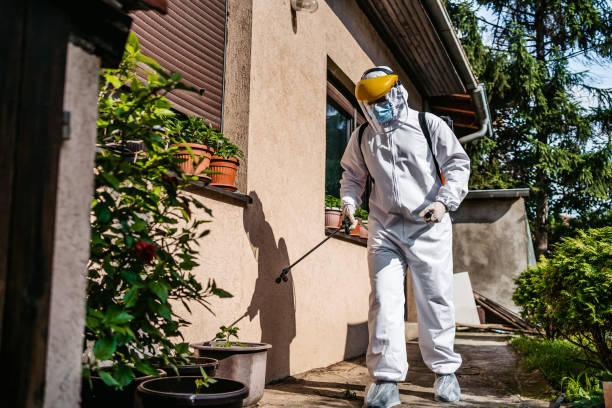 Best Wasp Removal Services  in Mount Airy, NC