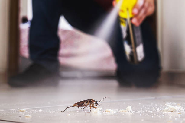 Pest Control Cost in Mount Airy, NC